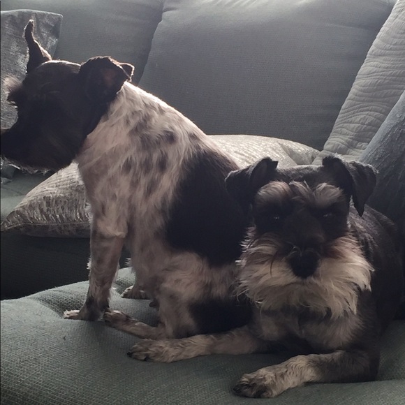 Meet your Posher, Terri - Picture 7 of 12